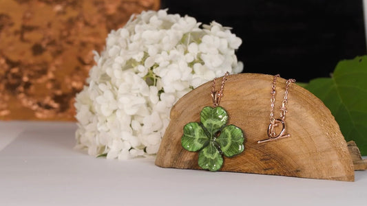 Idee regalo per la laurea