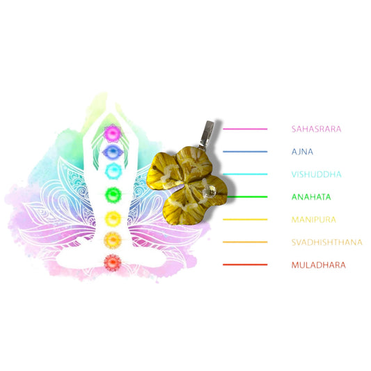 Chakra Manipura, ciondolo, vero quadrifoglio, dipinto di giallo e oro, con zircone brillante.