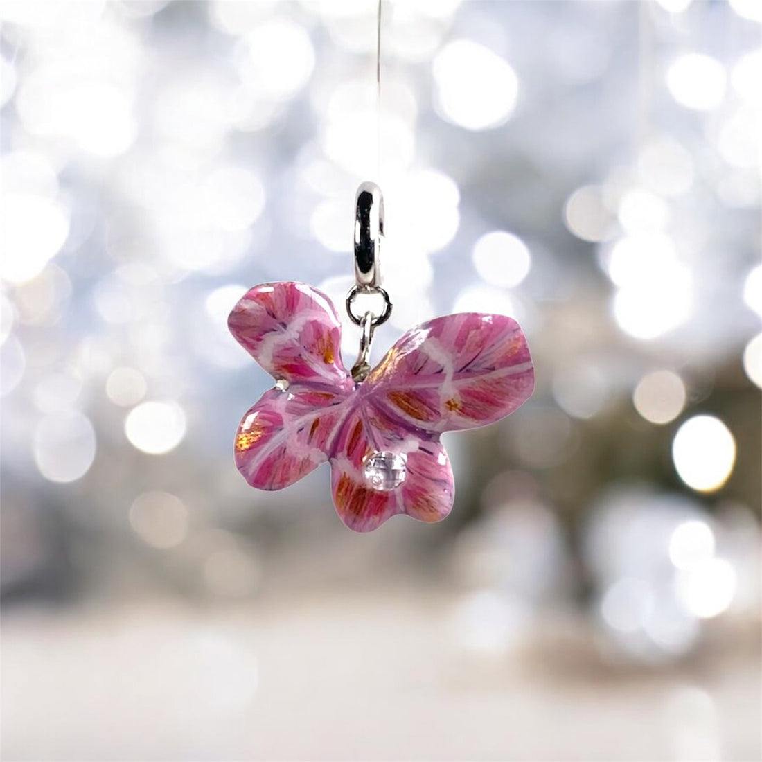 Calendario dell’avvento Manaluvia 14 Dicembre